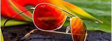 Bifocal Sunglasses