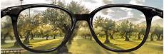 Bifocal Sunglasses