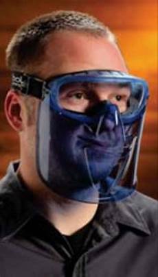 Bolle Safety Glasses