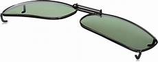 Cocoons Sunglasses