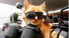Eyewear