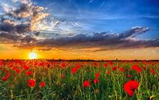 Flore