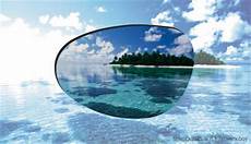 Polarized Glasses