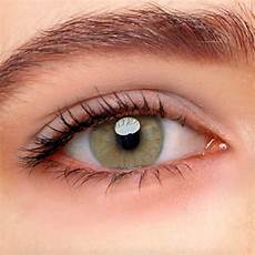 Prescription Lenses