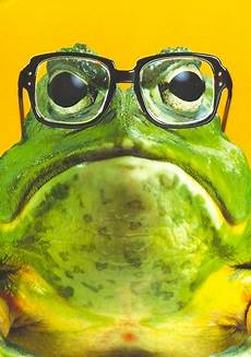 Square Glasses