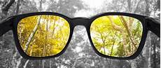 Vision Focus Glasses