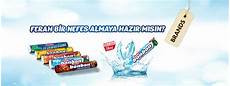 Yildiz Holding